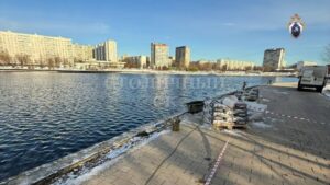 В парке Нью-Йорка найдена часть тела ребенка