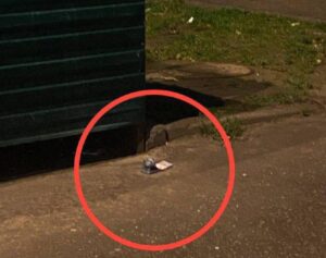 Взрывное устройство в пачке денег обезвредили в Подмосковье