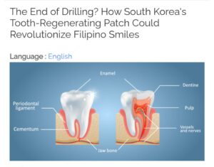 Корейские учёные создали пластырь для регенерации зубов