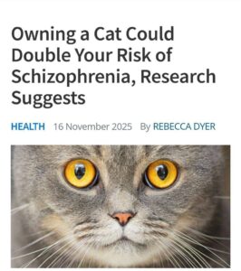 Кошки и психическое здоровье: Ученые обнаружили связь