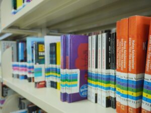 Совет Федерации предложил учить школьников цифровой грамотности