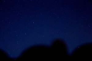 Леониды озарят ночное небо ярким звездопадом