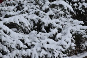 Синоптики предупредили о первом снеге и похолодании в Москве