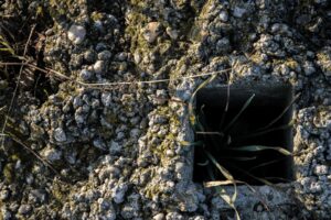 Над Москвой зафиксировали второй метеорит за две недели