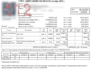 Жительнице Амурской области выставили счёт за воду на 11,5 миллионов рублей