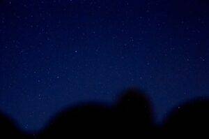 Леониды озарят ночное небо ярким звездопадом